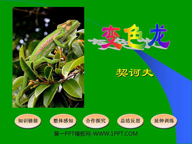 图片[1]-《变色龙》PPT课件下载-第一PPT