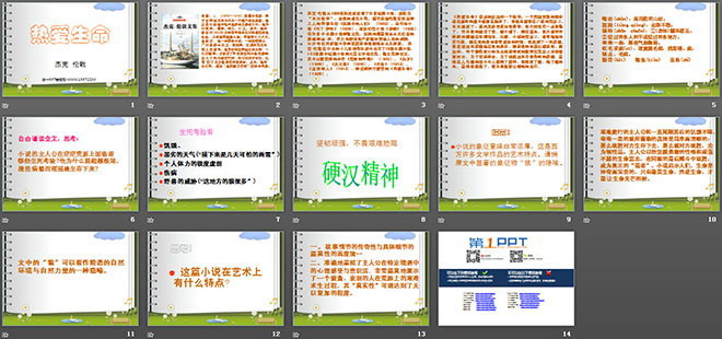 图片[2]-《热爱生命》PPT课件2-第一PPT