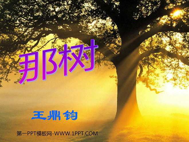 图片[1]-《那树》PPT课件2-第一PPT