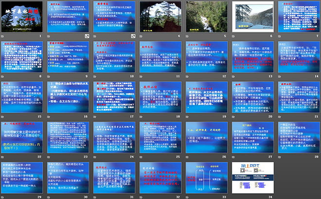 图片[2]-《地下森林断想》PPT课件-第一PPT