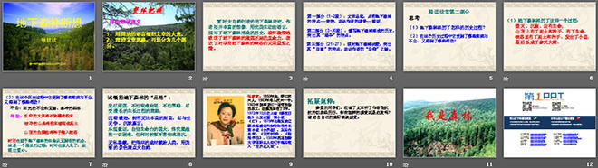 图片[2]-《地下森林断想》PPT课件3-第一PPT