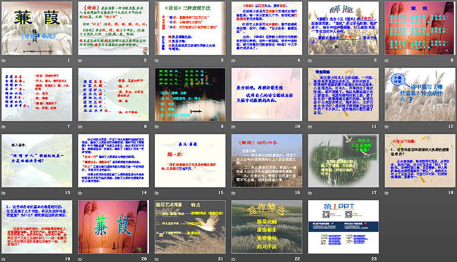 图片[2]-《蒹葭》PPT课件-第一PPT