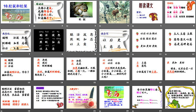 图片[2]-《松鼠和松果》PPT课件3-第一PPT