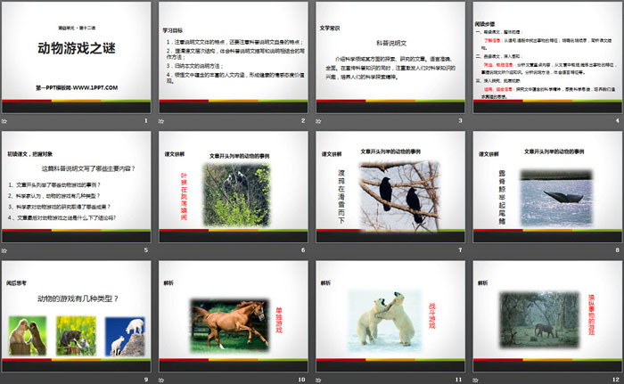 图片[2]-《动物游戏之谜》PPT-第一PPT