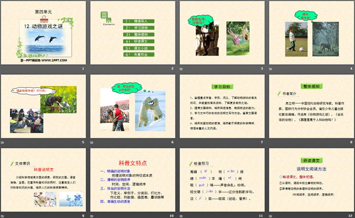 图片[2]-《动物游戏之谜》PPT下载-第一PPT