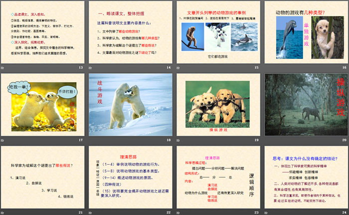 图片[3]-《动物游戏之谜》PPT下载-第一PPT