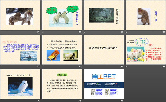 图片[5]-《动物游戏之谜》PPT下载-第一PPT