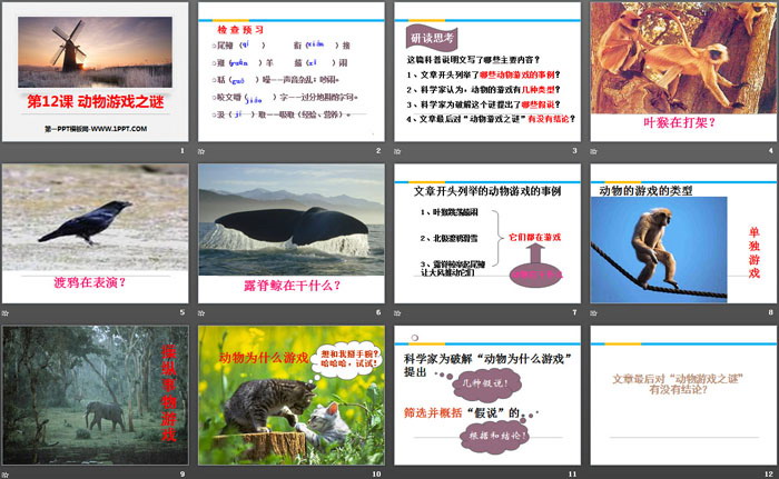 图片[2]-《动物游戏之谜》PPT课件下载-第一PPT