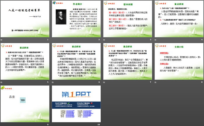 图片[2]-《人是一根能思考的苇草》短文三篇PPT-第一PPT