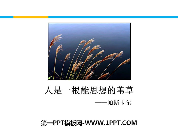 图片[1]-《人是一根能思考的苇草》短文三篇PPT下载-第一PPT