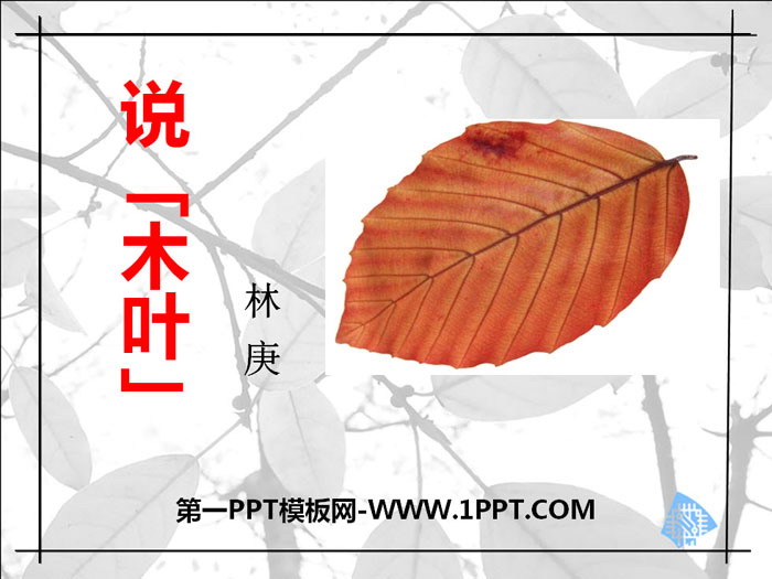 图片[1]-《说“木叶”》PPT教学课件-第一PPT