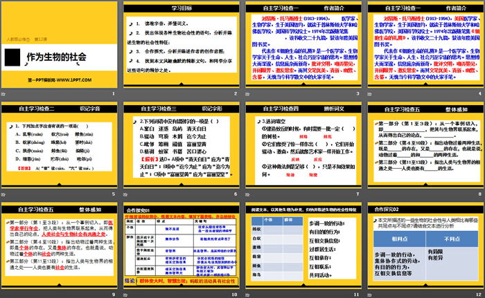 图片[2]-《作为生物的社会》PPT-第一PPT
