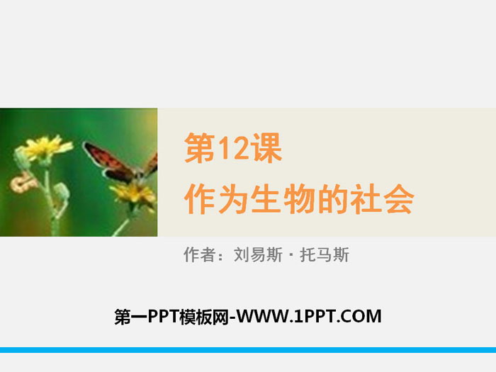 图片[1]-《作为生物的社会》PPT下载-第一PPT