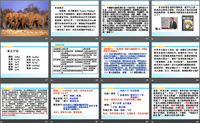 图片[3]-《作为生物的社会》PPT课件下载-第一PPT
