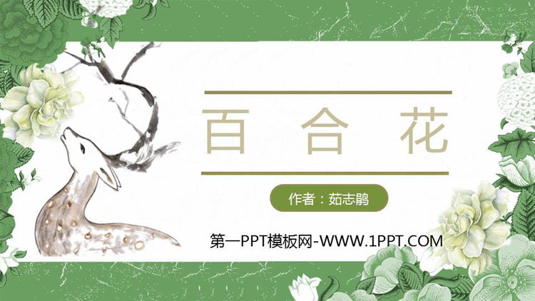 图片[1]-《百合花》PPT教学课件-第一PPT