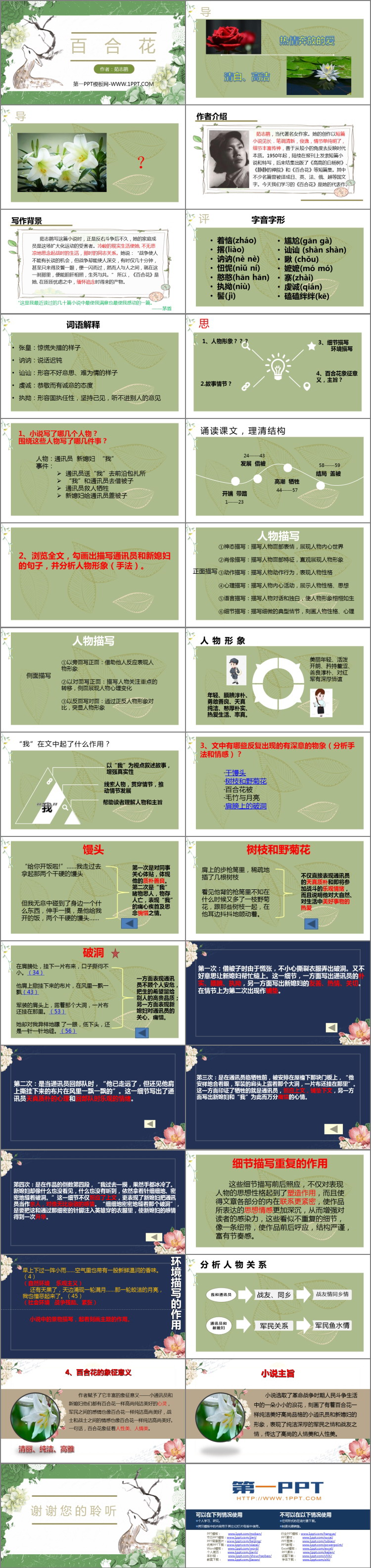 图片[2]-《百合花》PPT教学课件-第一PPT