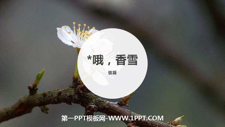 图片[1]-哦香雪-第一PPT