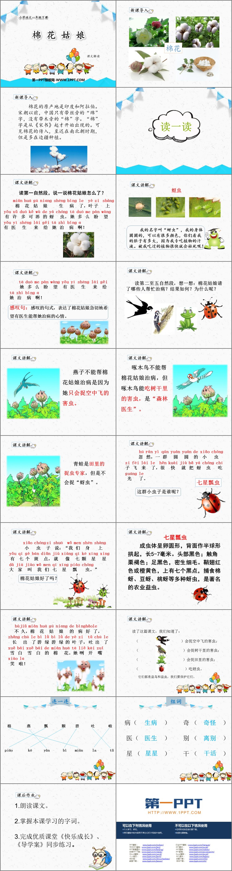 图片[2]-棉花姑娘-第一PPT