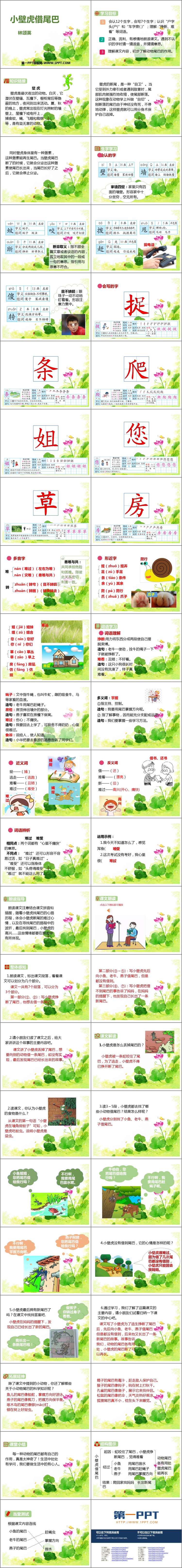 图片[2]-《小壁虎借尾巴》PPT优质课件下载-第一PPT