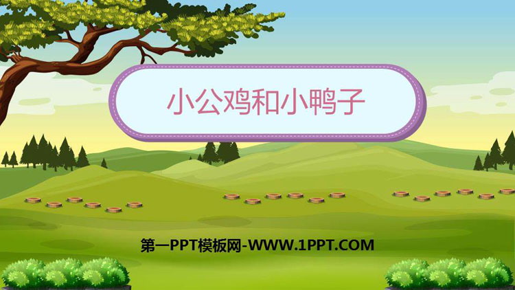 图片[1]-《小公鸡和小鸭子》PPT课文课件下载-第一PPT