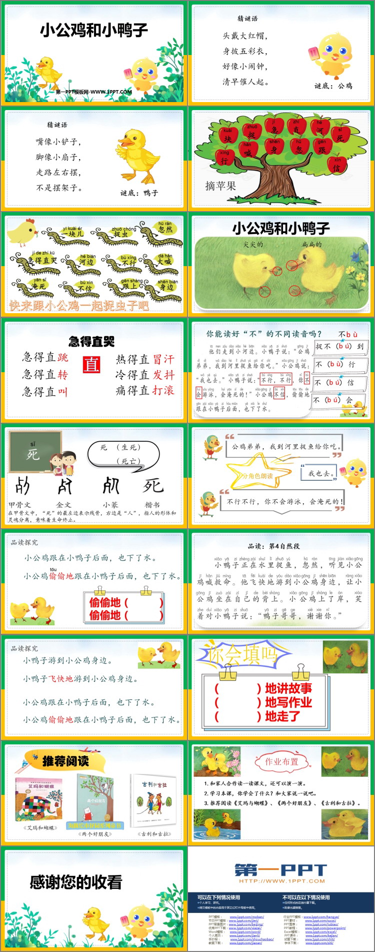 图片[2]-《小公鸡和小鸭子》PPT免费课件下载-第一PPT