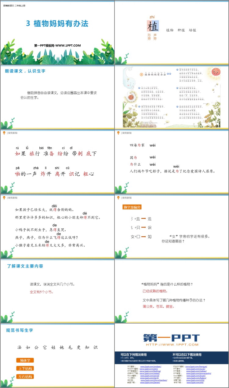 图片[2]-《植物妈妈有办法》PPT优秀教学课件下载-第一PPT