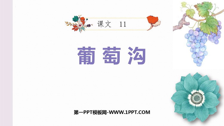 图片[1]-《葡萄沟》PPT免费教学课件-第一PPT