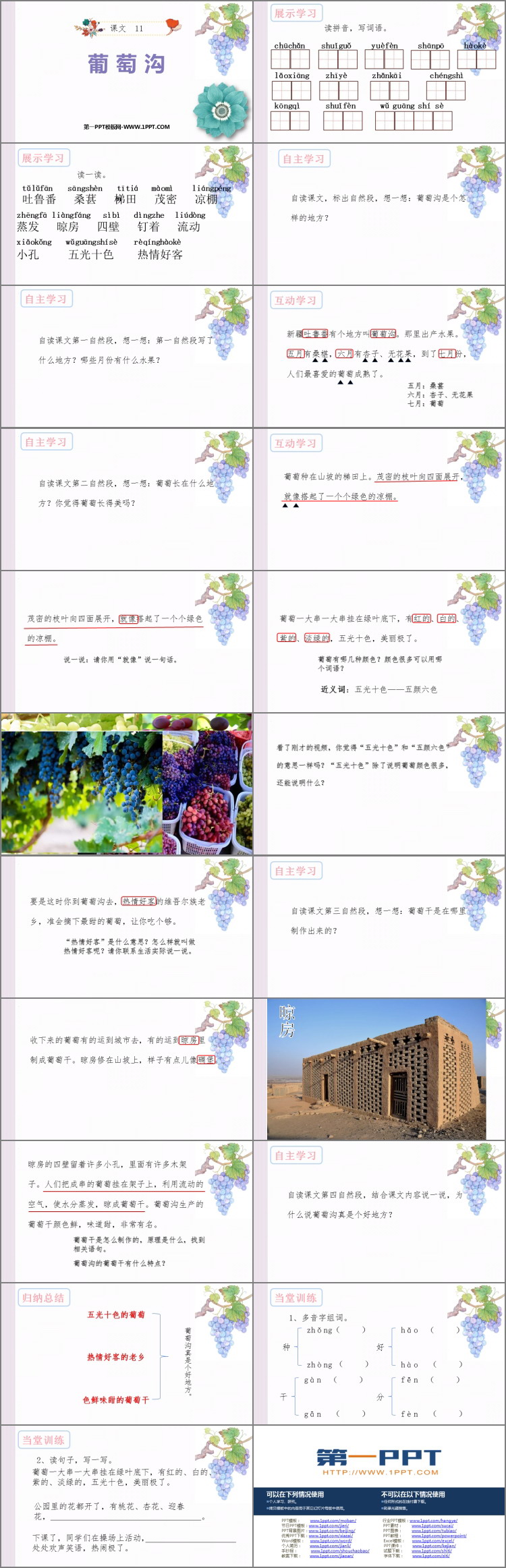 图片[2]-《葡萄沟》PPT免费教学课件-第一PPT