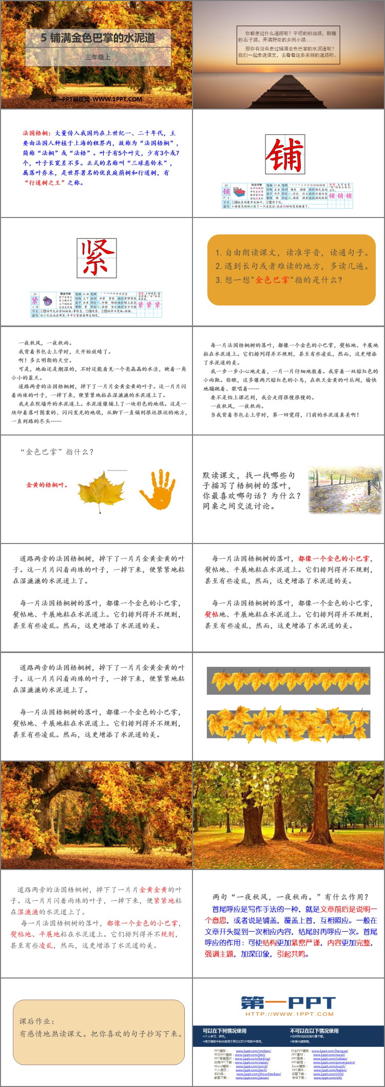 图片[2]-《铺满金色巴掌的水泥道》PPT免费教学课件-第一PPT