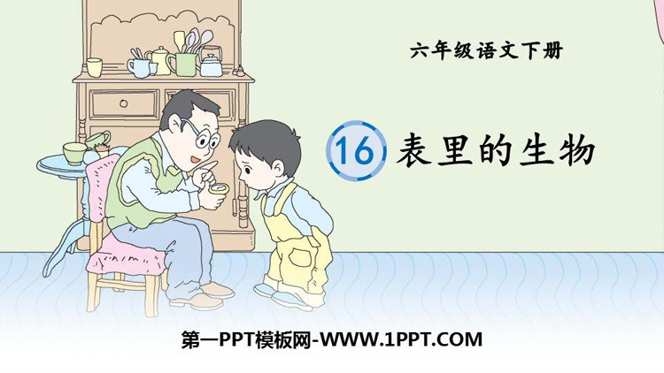 图片[1]-《表里的生物》PPT优质课件-第一PPT