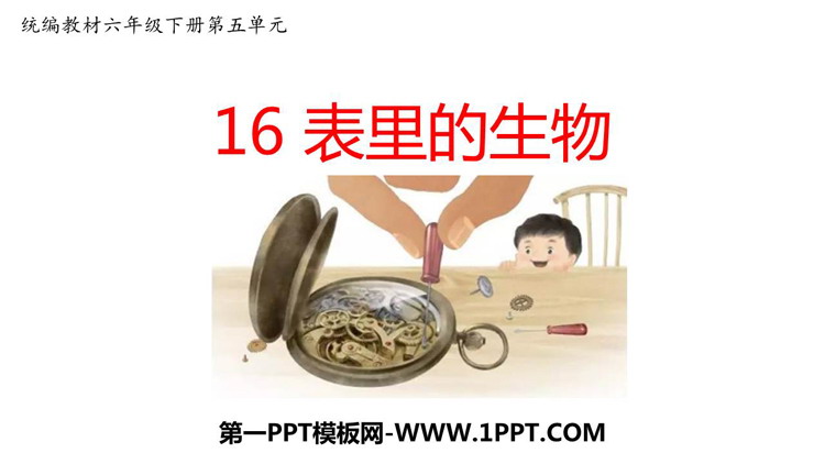 图片[1]-《表里的生物》PPT优质课件下载-第一PPT