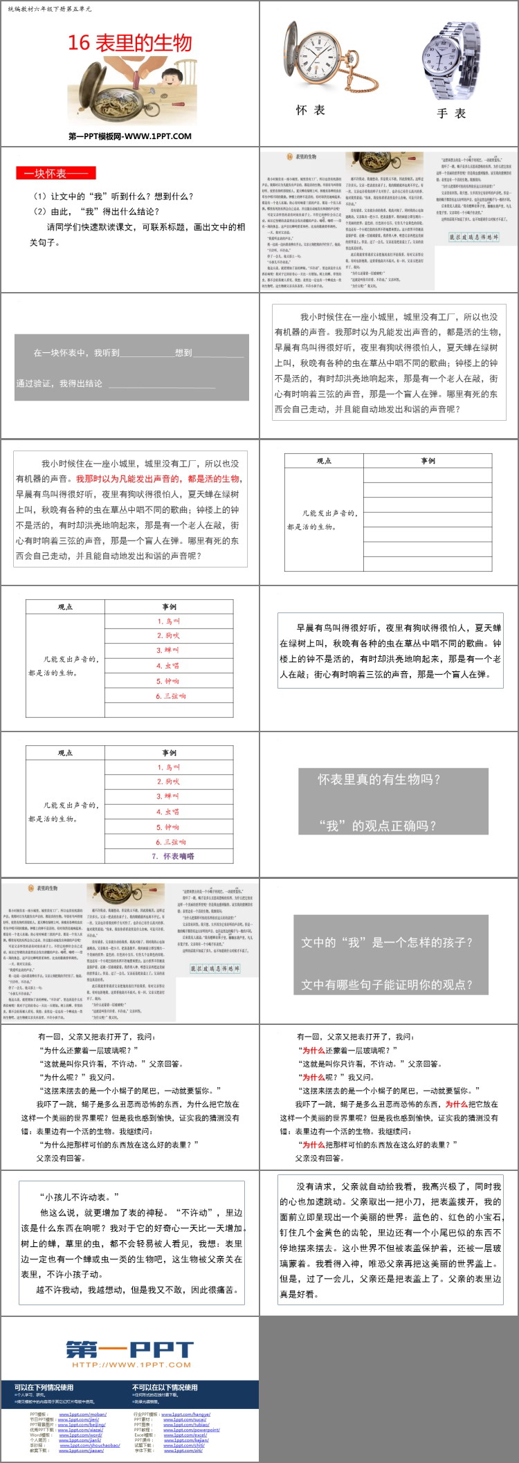 图片[2]-《表里的生物》PPT优质课件下载-第一PPT