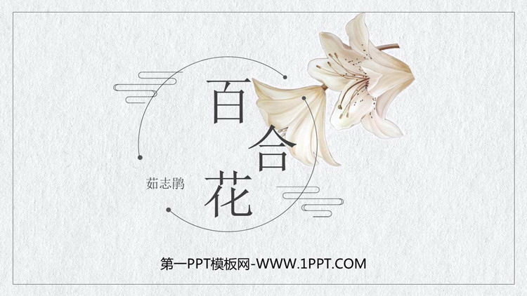 图片[1]-《百合花》PPT免费课件-第一PPT