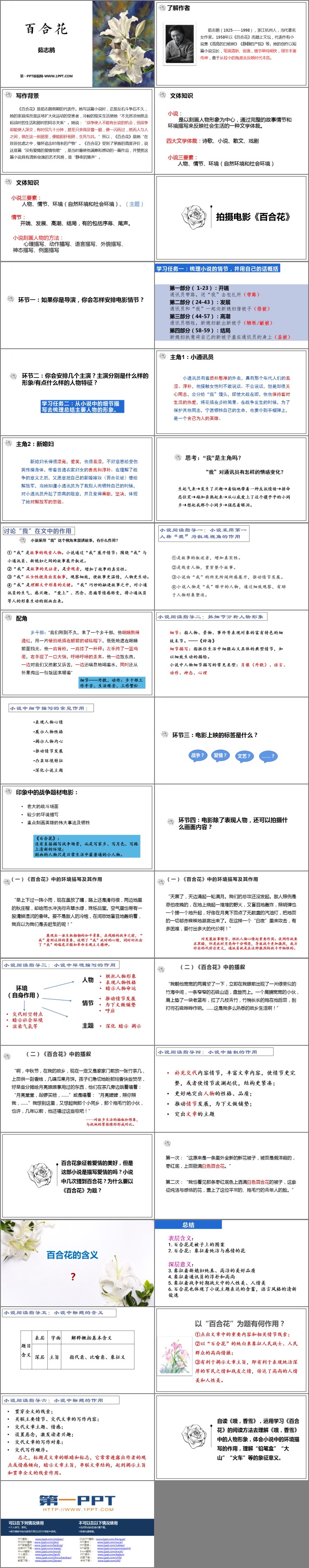 图片[2]-百合花-第一PPT