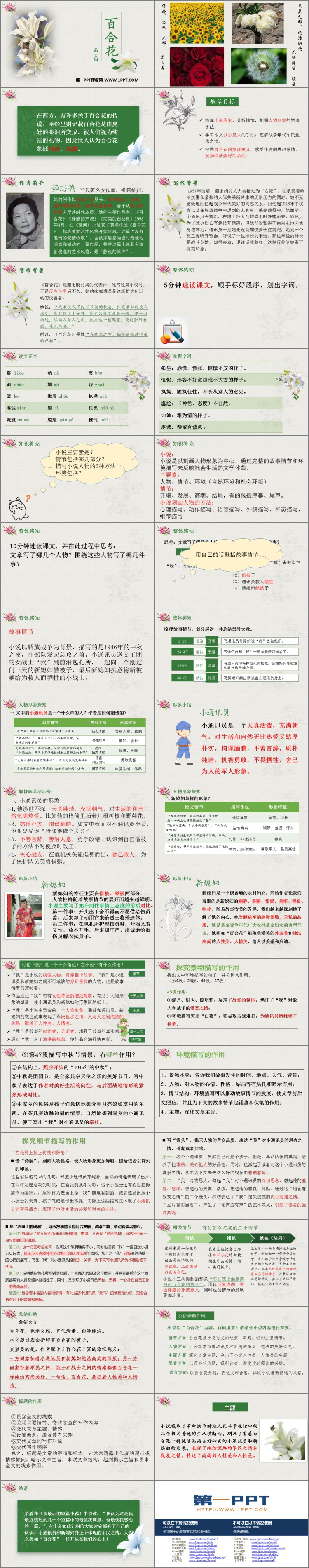 图片[2]-《百合花》PPT精品课件下载-第一PPT