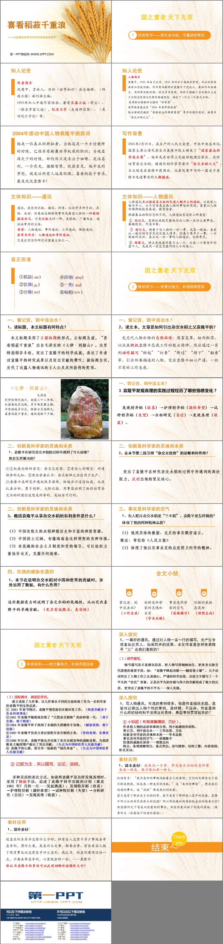 图片[2]-《喜看稻菽千重浪》PPT课件下载-第一PPT
