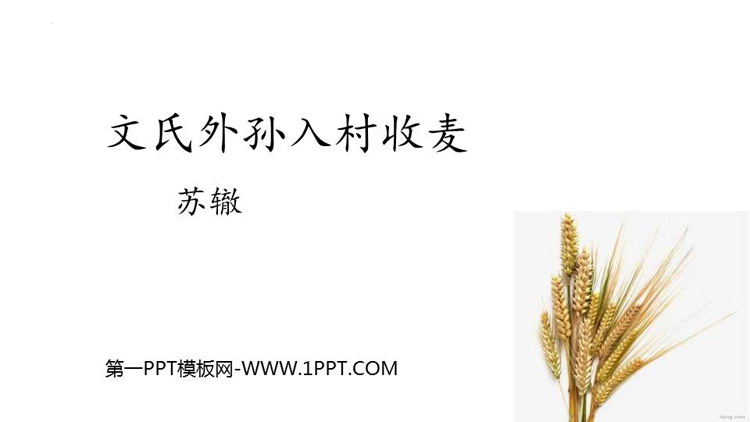 图片[1]-《文氏外孙入村收麦》PPT教学课件-第一PPT