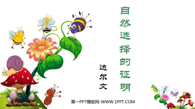 图片[1]-《自然选择的证明》PPT下载-第一PPT