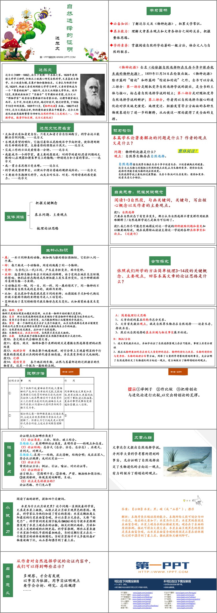 图片[2]-《自然选择的证明》PPT下载-第一PPT