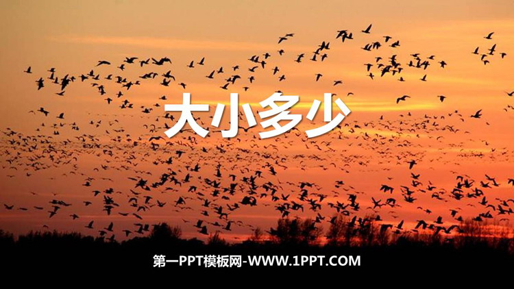 图片[1]-《大小多少》PPT优质课件下载-第一PPT