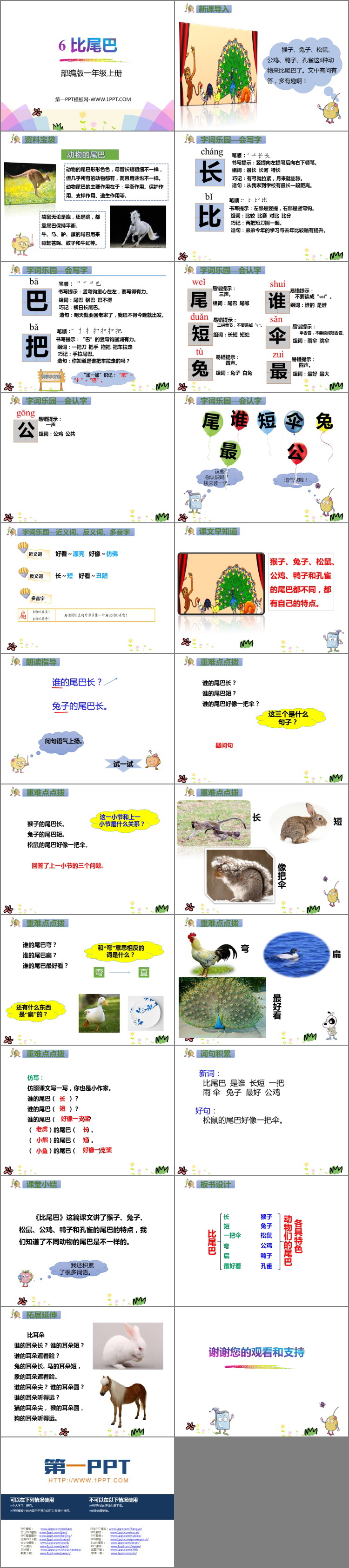 图片[2]-《比尾巴》PPT精品免费课件-第一PPT