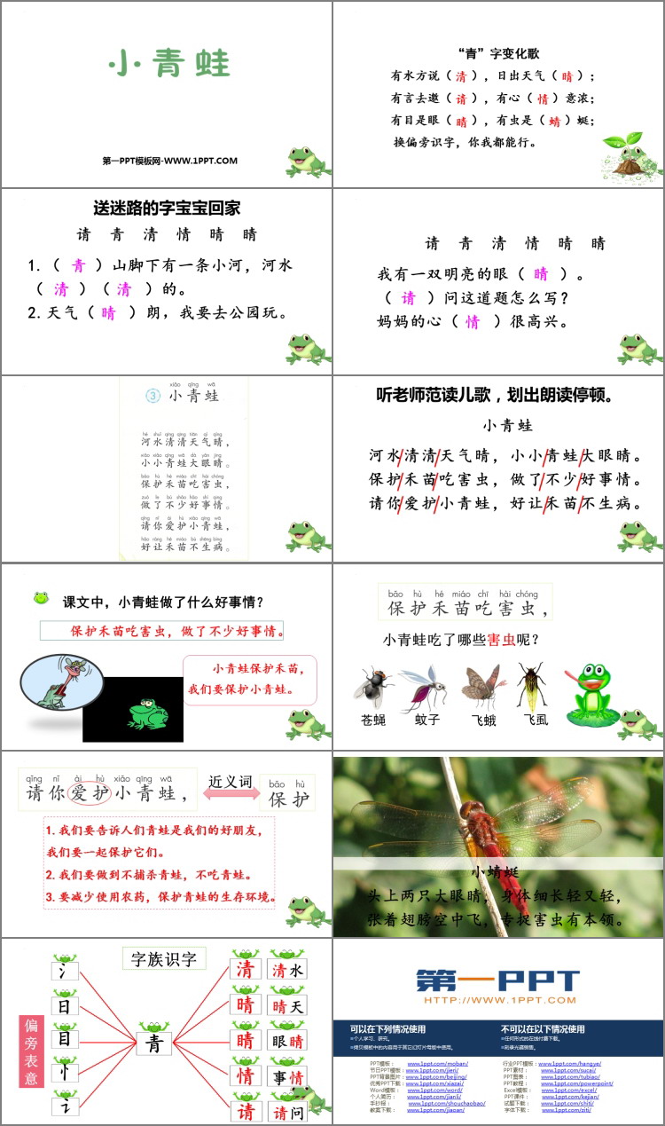 图片[2]-《小青蛙》PPT优质免费课件-第一PPT