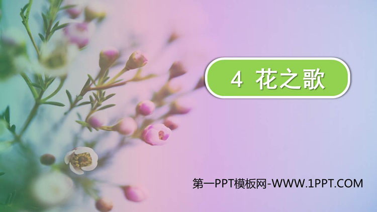 图片[1]-《花之歌》PPT优秀免费课件-第一PPT