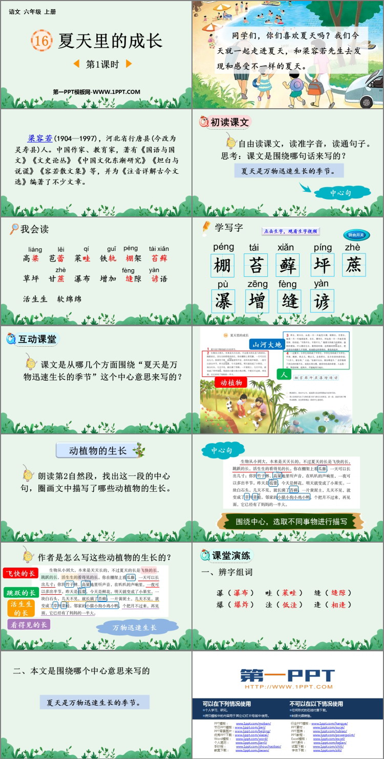 图片[2]-《夏天里的成长》PPT免费下载(第1课时)-第一PPT