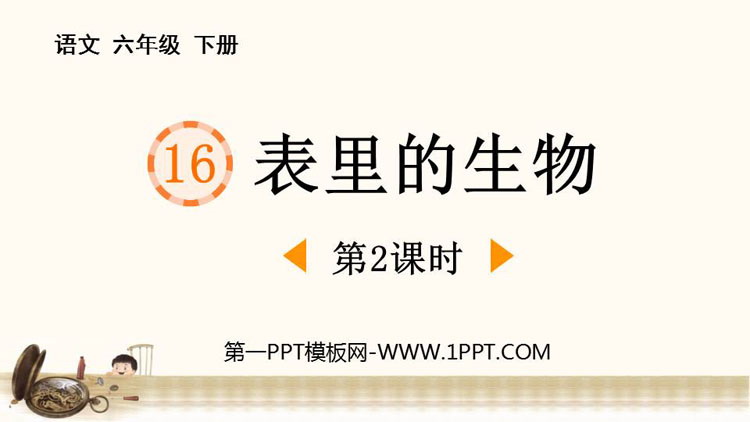 图片[1]-《表里的生物》PPT课件下载(第2课时)-第一PPT