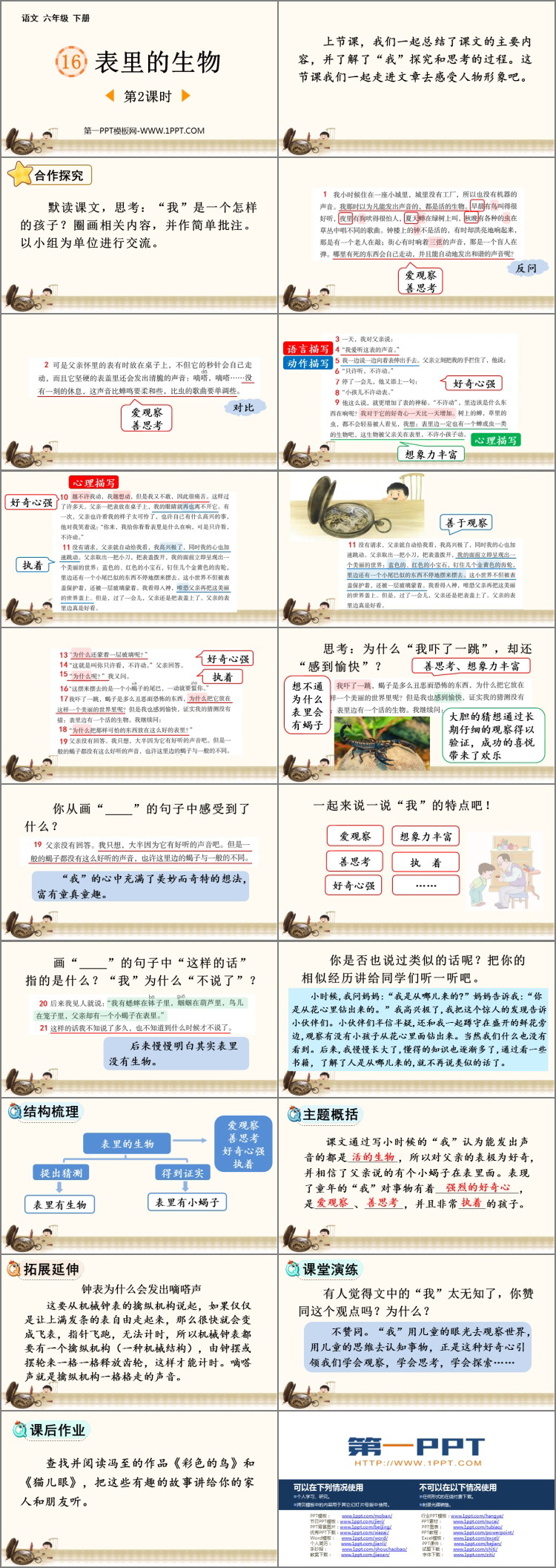 图片[2]-《表里的生物》PPT课件下载(第2课时)-第一PPT