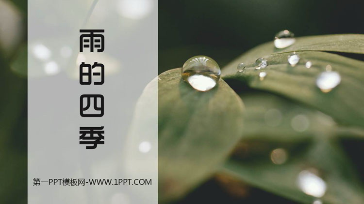 图片[1]-《雨的四季》PPT教学课件下载-第一PPT