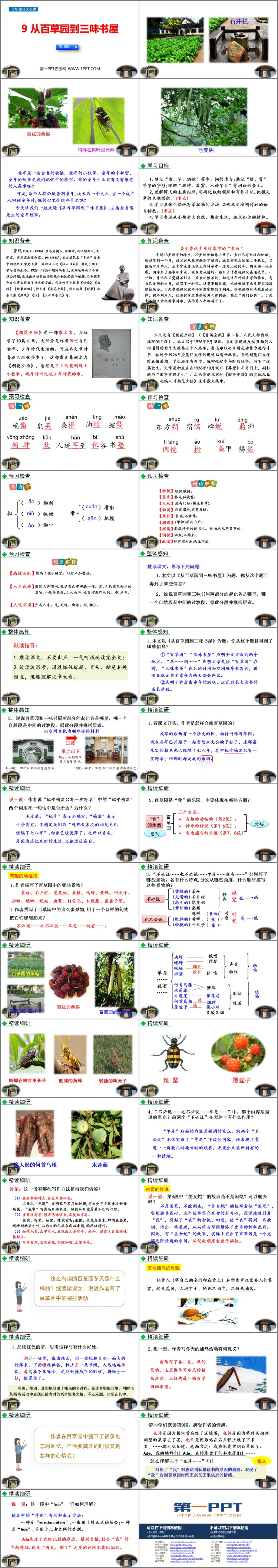 图片[2]-《从百草园到三味书屋》PPT免费课件(第1课时)-第一PPT