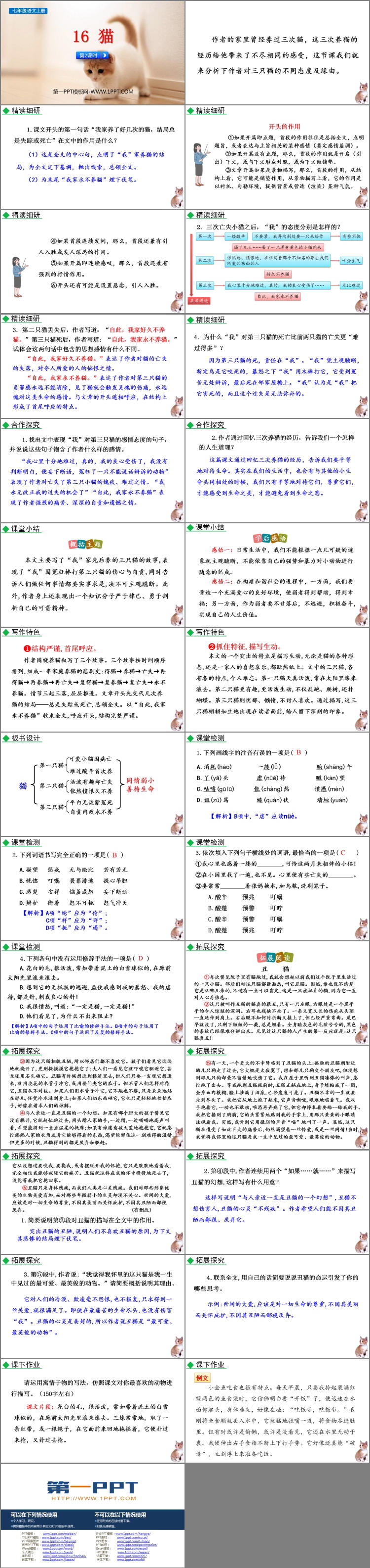 图片[2]-猫-第一PPT