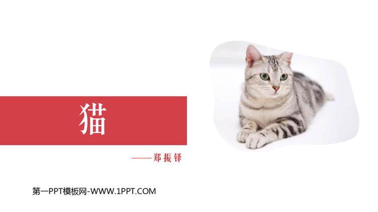 图片[1]-《猫》PPT优质免费课件-第一PPT